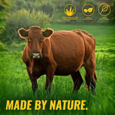 organic-grass-fed-beef-cattle-suet-tallow-benefits